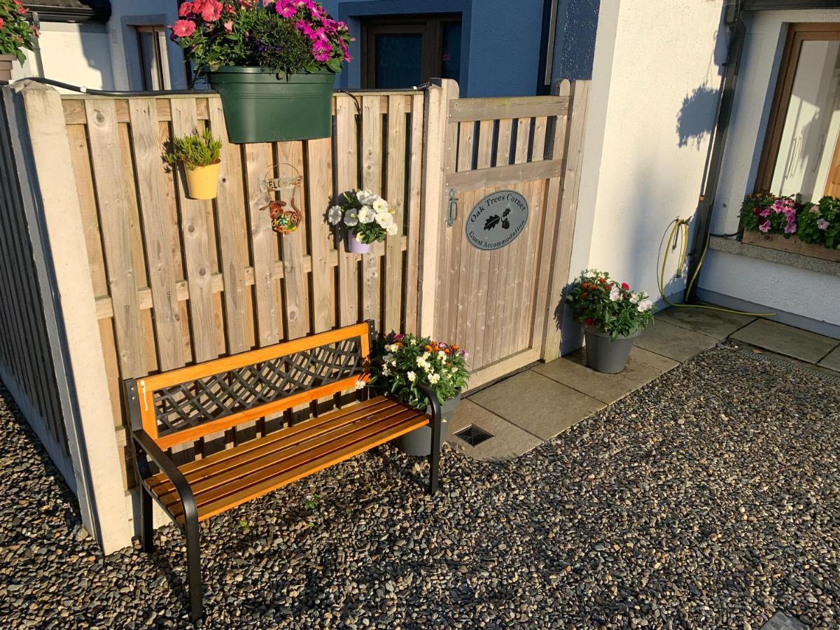 Oak Trees Corner Stylish , Relaxing , Getaway Wicklow Exterior foto